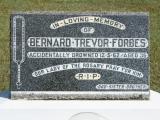 image of grave number 864770